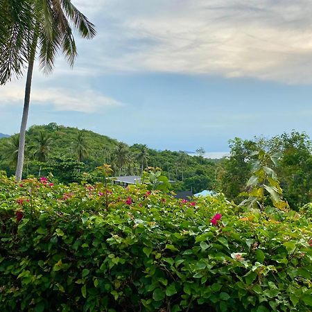 Ko Samui Seaview Pool Villa Seren With Car Laem Set Beach Ngoại thất bức ảnh