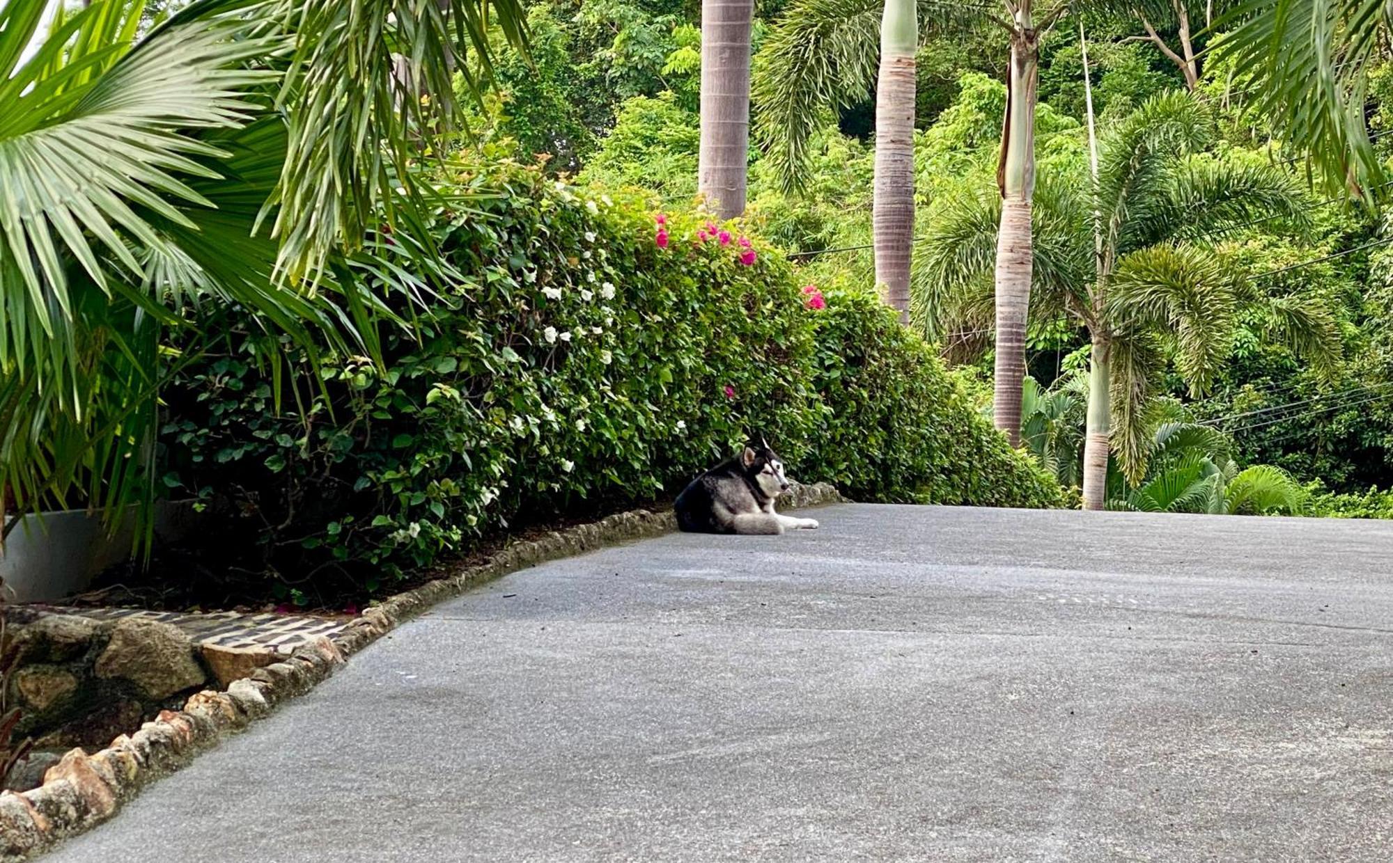 Ko Samui Seaview Pool Villa Seren With Car Laem Set Beach Ngoại thất bức ảnh