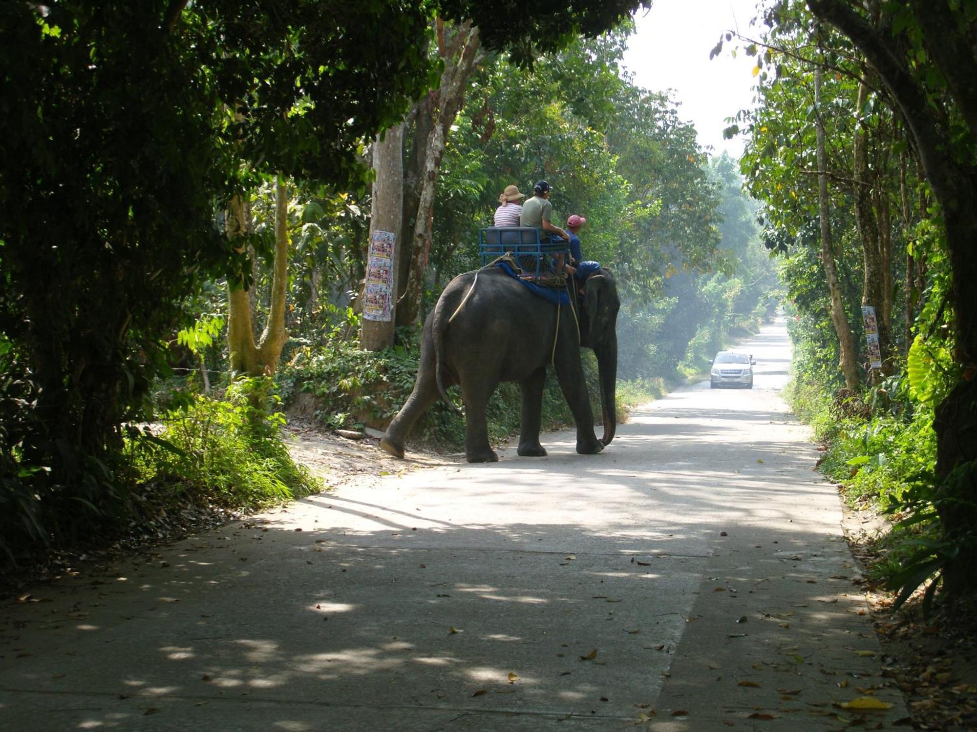 Ko Samui Seaview Pool Villa Seren With Car Laem Set Beach Ngoại thất bức ảnh